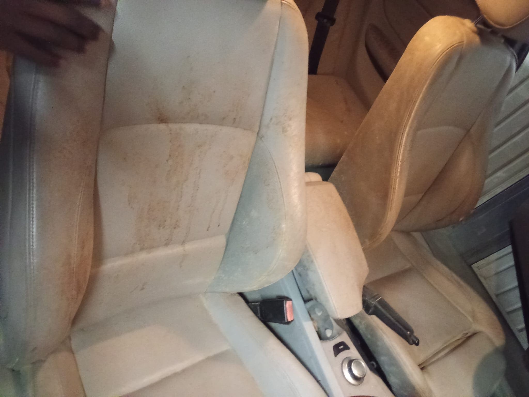 chaise2-beige-voiture - Avant 2